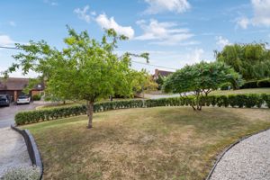 Front garden- click for photo gallery